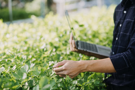 In the Industrial Greenhouse Two Agricultural Engineers Test Plants Health and Analyze Data with Tablet Computer.の写真素材