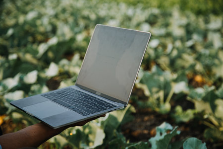 Agriculturist utilize the core data network in the Internet from the mobile to validate, test, and select the new crop method. Young farmers and tobacco farmingの写真素材