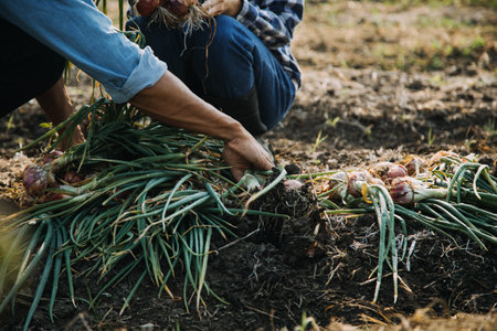 Agriculturist utilize the core data network in the Internet from the mobile to validate, test, and select the new crop method. Young farmers and tobacco farmingの写真素材