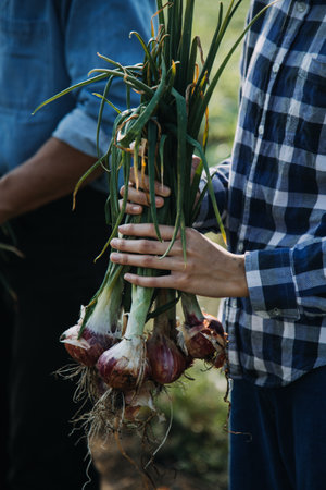 Agriculturist utilize the core data network in the Internet from the mobile to validate, test, and...