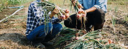 Agriculturist utilize the core data network in the Internet from the mobile to validate, test, and...