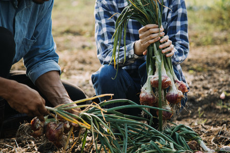 Agriculturist utilize the core data network in the Internet from the mobile to validate, test, and...