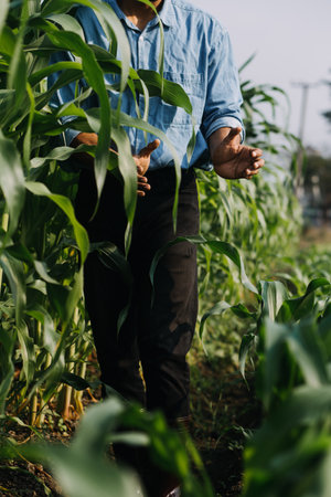 Agriculturist utilize the core data network in the Internet from the mobile to validate, test, and...