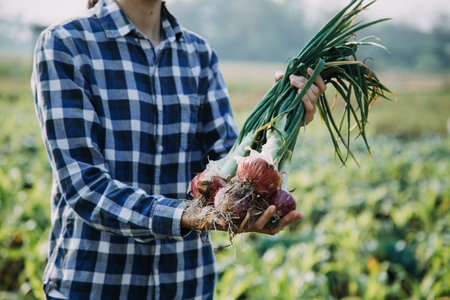 Agriculturist utilize the core data network in the Internet from the mobile to validate, test, and select the new crop method. Young farmers and tobacco farmingの写真素材