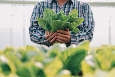 Woman gardener inspects quality of green oak lettuce in greenhouse gardening. Female Asian horticulture farmer cultivate healthy nutrition organic salad vegetables in hydroponic agribusiness farm.の写真素材