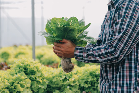 Woman gardener inspects quality of green oak lettuce in greenhouse gardening. Female Asian horticulture farmer cultivate healthy nutrition organic salad vegetables in hydroponic agribusiness farm.の写真素材