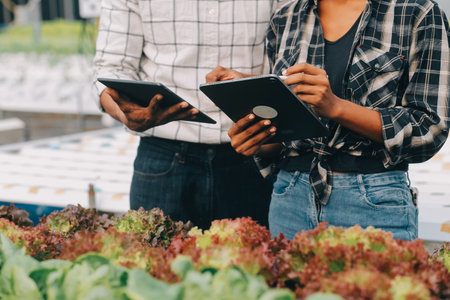 Young Asian woman and senior man farmer working together in organic hydroponic salad vegetable farm. Modern vegetable garden owner using digital tablet inspect quality of lettuce in greenhouse garden.の写真素材