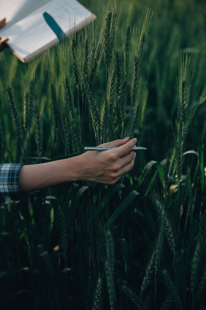 Smart farm. Farmer with tablet in the field. Agriculture, gardening or ecology concept. Harvesting....