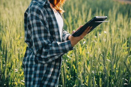 Smart farm. Farmer with tablet in the field. Agriculture, gardening or ecology concept. Harvesting....