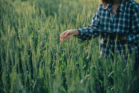 Smart farm. Farmer with tablet in the field. Agriculture, gardening or ecology concept. Harvesting....