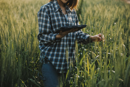 Smart farm. Farmer with tablet in the field. Agriculture, gardening or ecology concept. Harvesting....