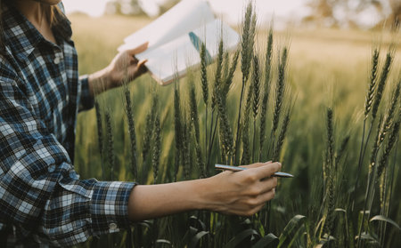 Smart farm. Farmer with tablet in the field. Agriculture, gardening or ecology concept. Harvesting....