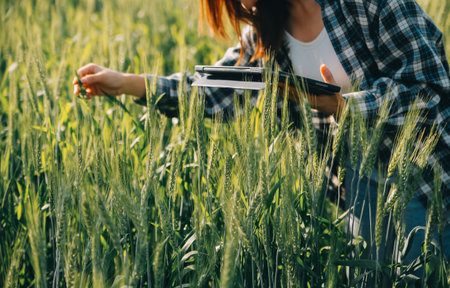 Smart farm. Farmer with tablet in the field. Agriculture, gardening or ecology concept. Harvesting. Agro business.の写真素材