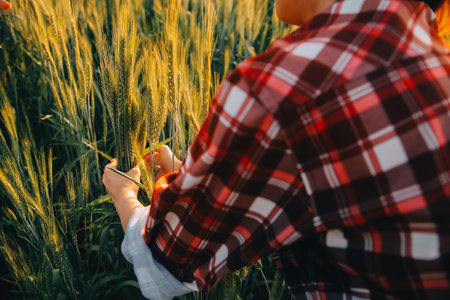 Smart farm. Farmer with tablet in the field. Agriculture, gardening or ecology concept. Harvesting....