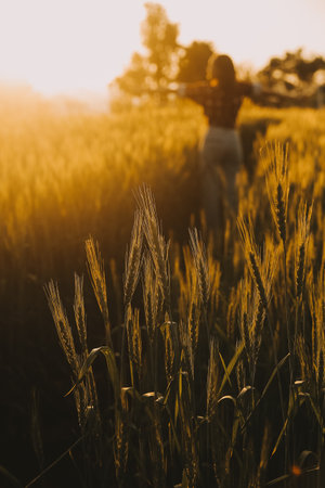 Young pretty woman in red summer dress and straw hat walking on yellow farm field with ripe golden...