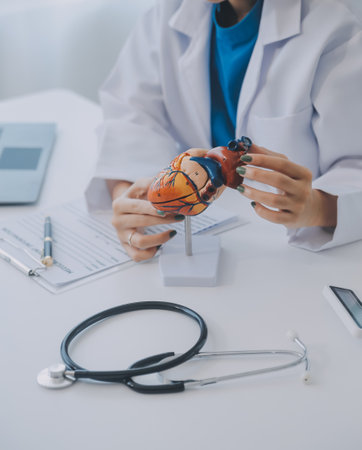 Doctor explaining heart to elderly patient. Doctor explaining the heart model. Doctors pen point to a model of the heartの写真素材