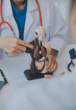 Doctor explaining heart to elderly patient. Doctor explaining the heart model. Doctors pen point to a model of the heartの写真素材