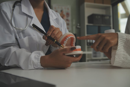 Concentrated dentist sitting at table with jaw samples tooth model and working with tablet and laptop in dental office professional dental clinic. medical doctor workingの写真素材
