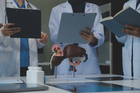 Medical, meeting and laptop for team in office in discussion, brainstorming and planning. Doctor, nurse and computer on desk, teamwork or workshop for Model Internal organ.の写真素材