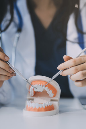 Concentrated dentist sitting at table with jaw samples tooth model and working with tablet and...