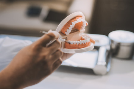 A dentist is using specialized dental equipment to inspect dentures to study the anatomy of the...