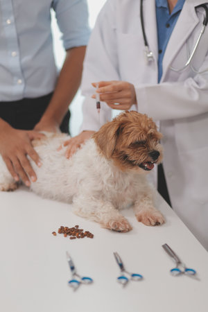 Veterinary doctor and assistant working together examining dog on table in veterinary clinic Pet health care and medical concept. Close-up.の写真素材