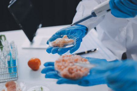 Chemical Laboratory of the Food supply . Food in laboratoryの写真素材