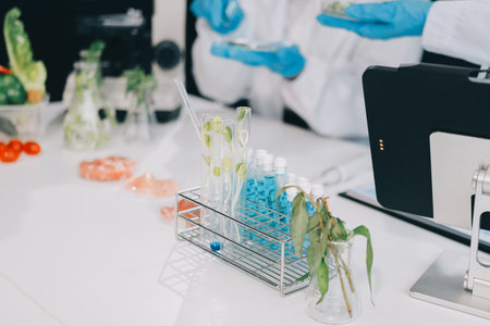 Chemical Laboratory of the Food supply . Food in laboratory, dna modify .GMO Genetically modified...