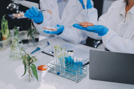 Chemical Laboratory of the Food supply . Food in laboratory