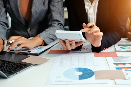 Accounting company provide finance and taxation planning for profitable cash flow, Auditor and...