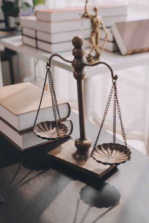 Lawyer explained to the client about the law that must be brought against the court case.