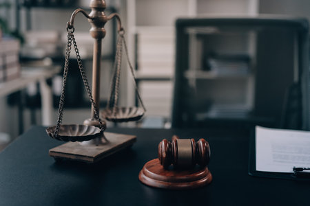 Lawyer explained to the client about the law that must be brought against the court case.