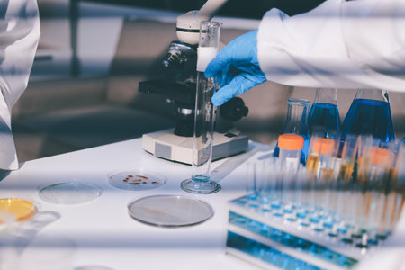 Researchers working in the clinical laboratoryの写真素材