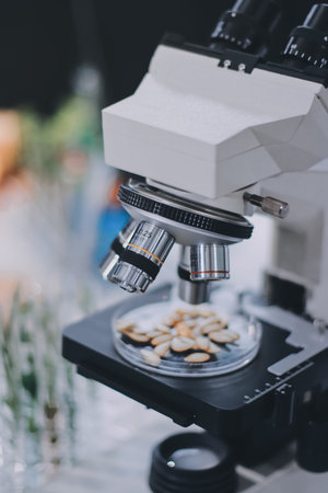 Chemical Laboratory of the Food supply . Food in laboratory, dna modify .の写真素材