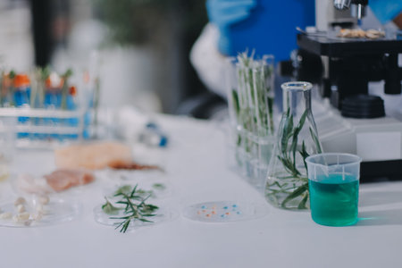 Chemical Laboratory of the Food supply . Food in laboratory, dna modify.