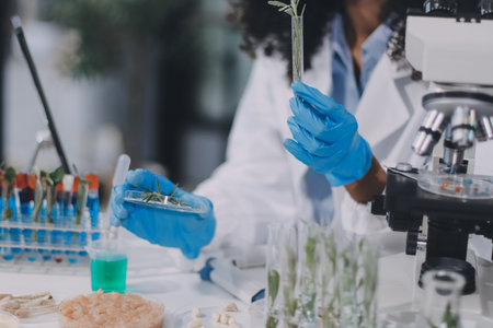 Chemical Laboratory of the Food supply. Food in laboratory, dna modify. GMO Genetically modified...