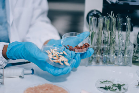 Chemical Laboratory of the Food supply . Food in laboratory, dna modify . GMO Genetically modified...