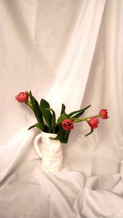 Photo of a vase of pink flowers with leaves on a white backgroundの写真素材