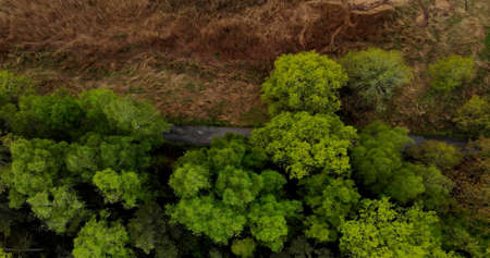 An aerian view of a river in a forest