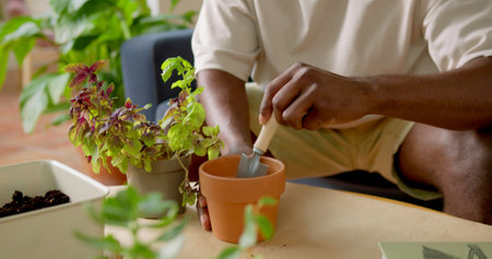 Hands of a man who is gardening
