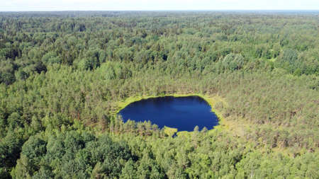 A photo of a lake in a forestの写真素材