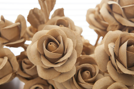 vintage rose background の写真素材