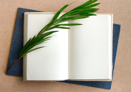 composition of the blank book with grassの写真素材