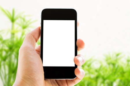 hand holding phone with nature background