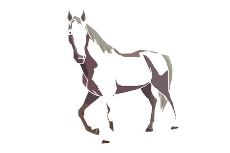 horse on white backgroundの写真素材