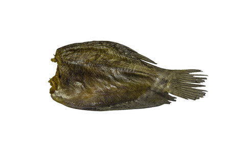 dried fish