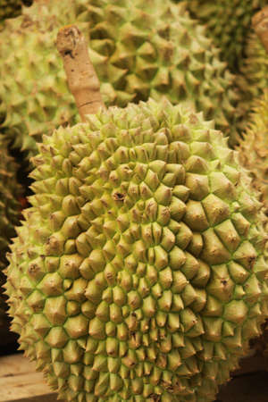 Durian from thailand の写真素材