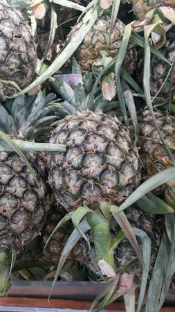 Pineappleの素材
