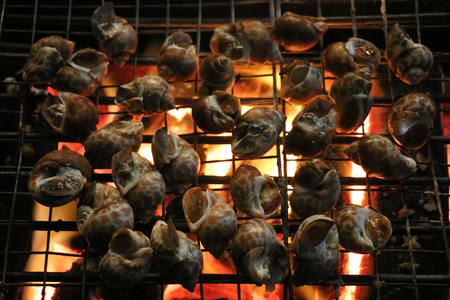 Grilled areola Babylon on the charcoal stoveの写真素材