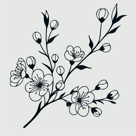 Adobe Illustrator Artwork set of contour floral line art of flowers, leaves black and white illustration set of decorative elements of plantsのイラスト素材